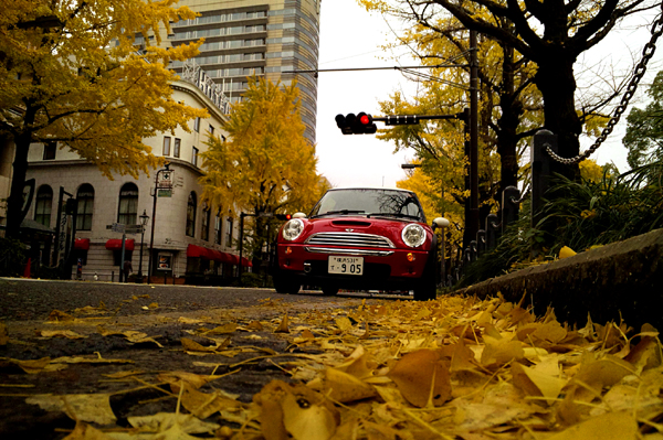 1130 mini 091130_102333.jpg